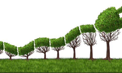 能源勢動：電力行業(yè)的碳中和該如何實現(xiàn)？